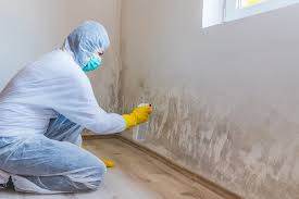 Best Mold Documentation for Insurance Claims in Wolcott, IN