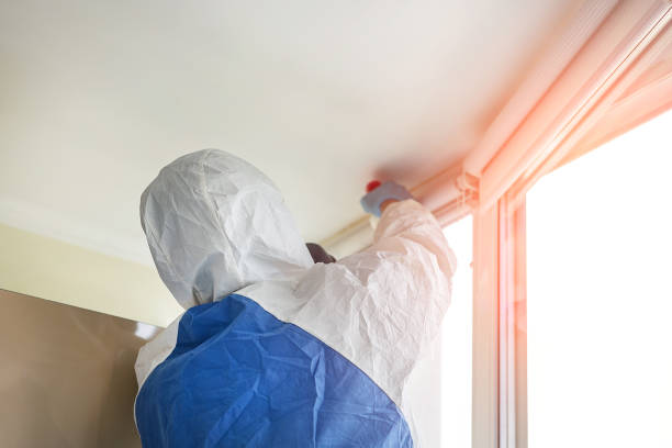 Best Mold Prevention Services in Wolcott, IN