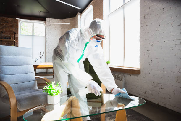 Reliable Wolcott, IN Mold Removal Solutions