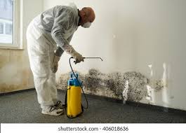 Why You Should Choose Our Mold Remediation Services in Wolcott, IN